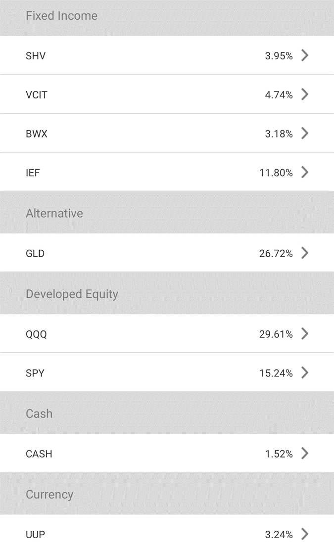 SqSave Very Aggressive Portfolio's investment composition